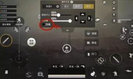 最新升级枪爆料,尖端科技引领未来战场